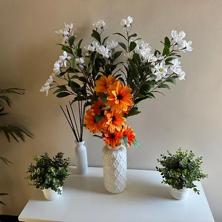 Ca La Lidia 度假居